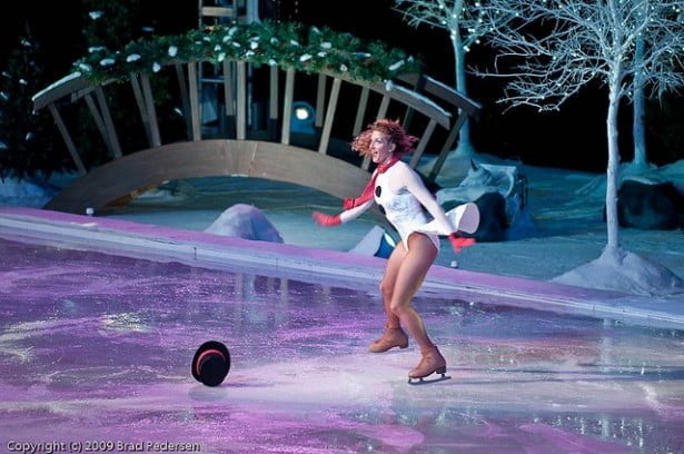 Show de patinação no Sea World