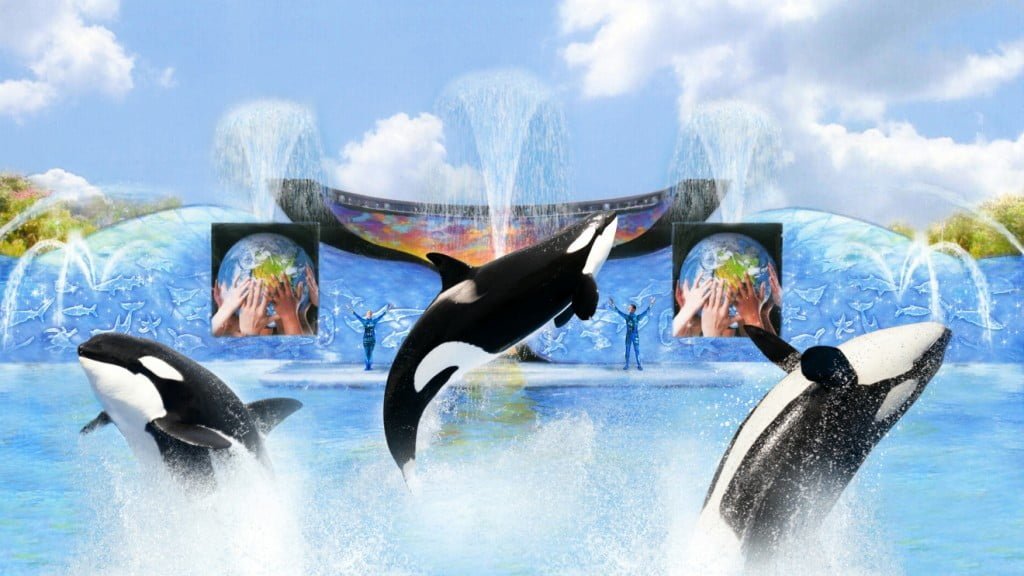 show-da-baleia-shamu