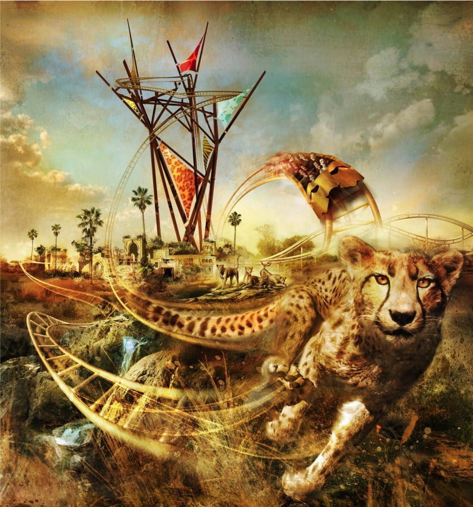 cheetah-hunt