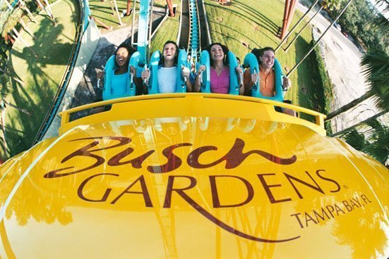 montanha-russa-no-busch-gardens