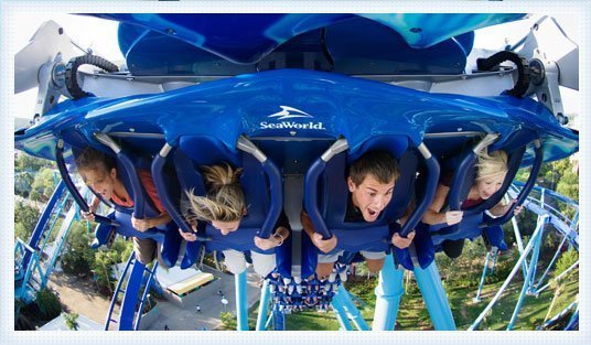 manta-a-nova-montanha-russa