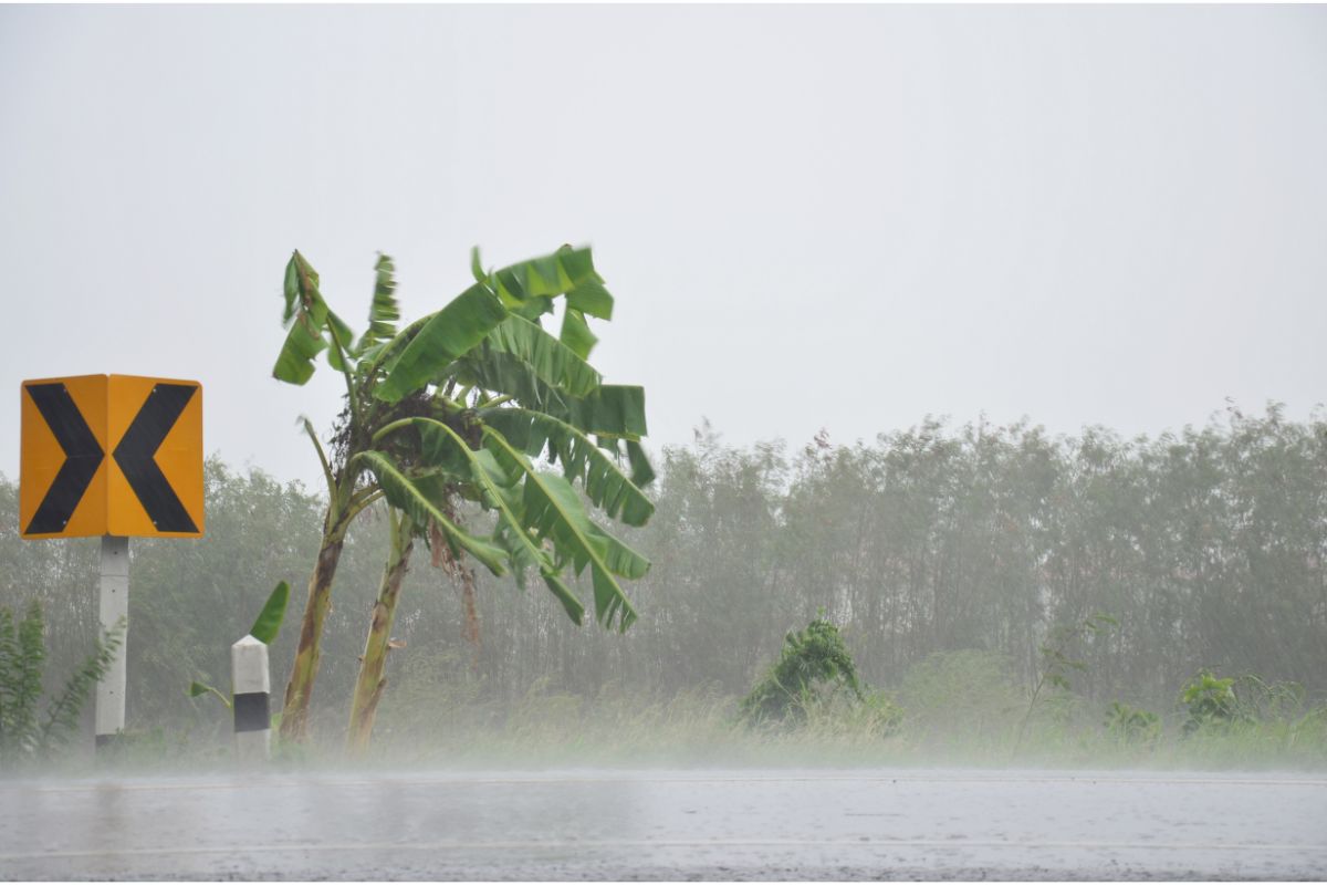 Época de furacão em Orlando