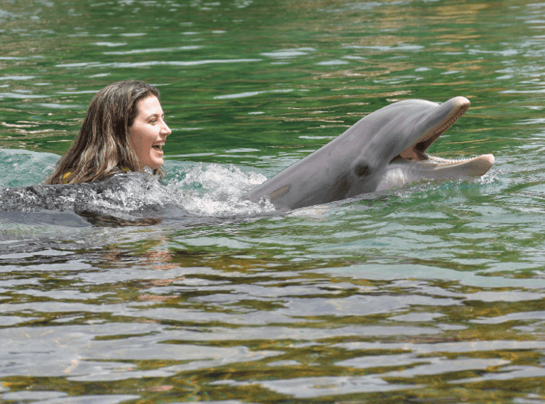Discovery Cove: Confira o que te espera no parque mais calmo de Orlando