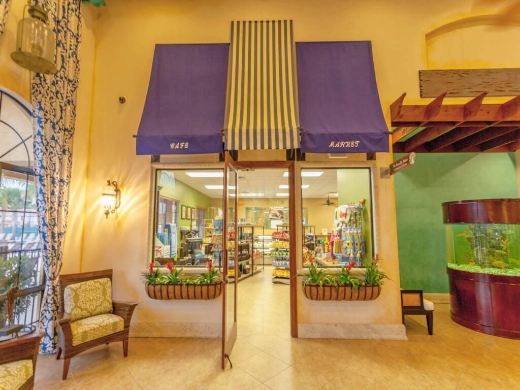 Cast Members mostram habilidades artísticas em Downtown Disney