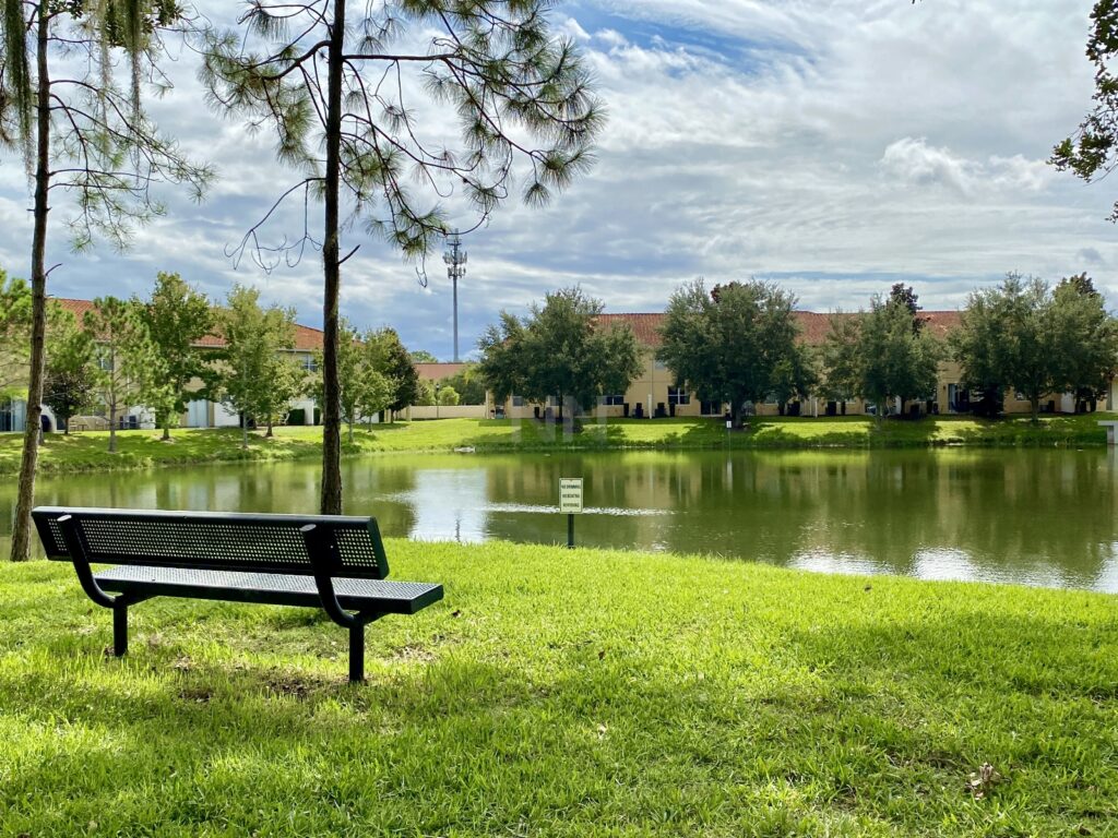 Artista Brasileiro, Romero Brito estará apresentando seus lançamentos em Walt Disney World