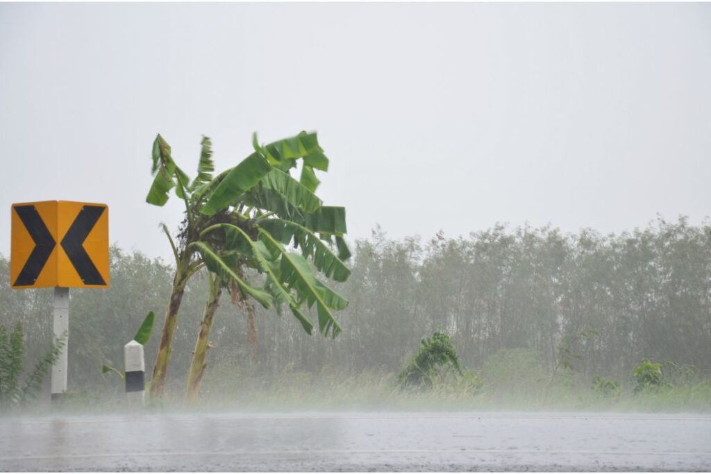 Época de furacão em Orlando: descubra quando ocorre e se é perigoso