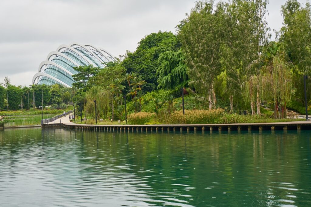Gatorland em Orlando: conheça o parque dos jacarés